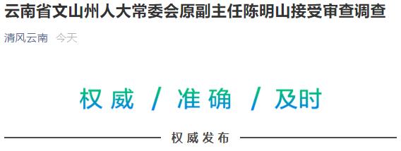 云南省文山州人大常委会原副主任陈明山接受审查调查