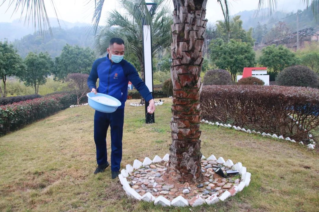 营区绿化齐整治 美好环境共创造 营区绿化齐整治 美好环境共创造