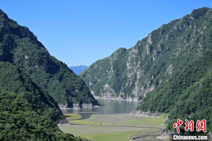 天池冶海景区图片