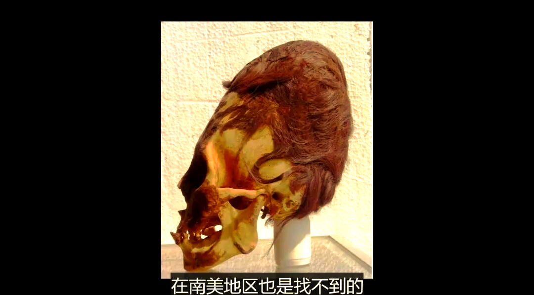 帕拉卡斯头骨:神秘起源与人类历史的重新探索