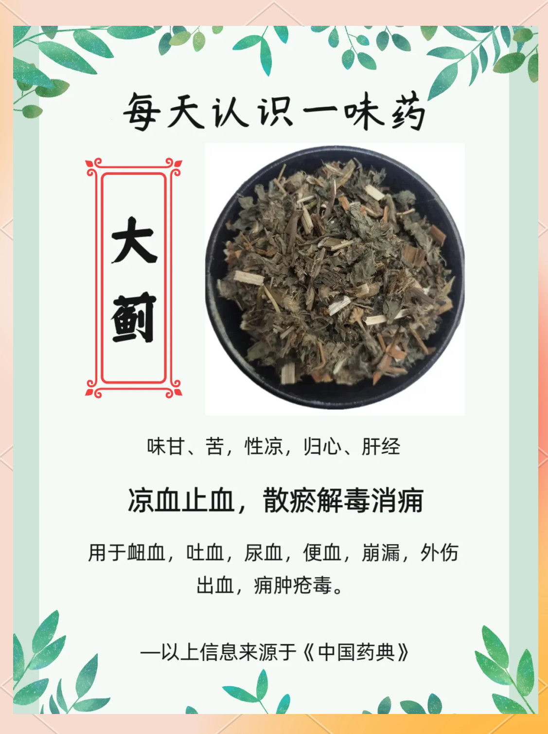 深入探索草药世界