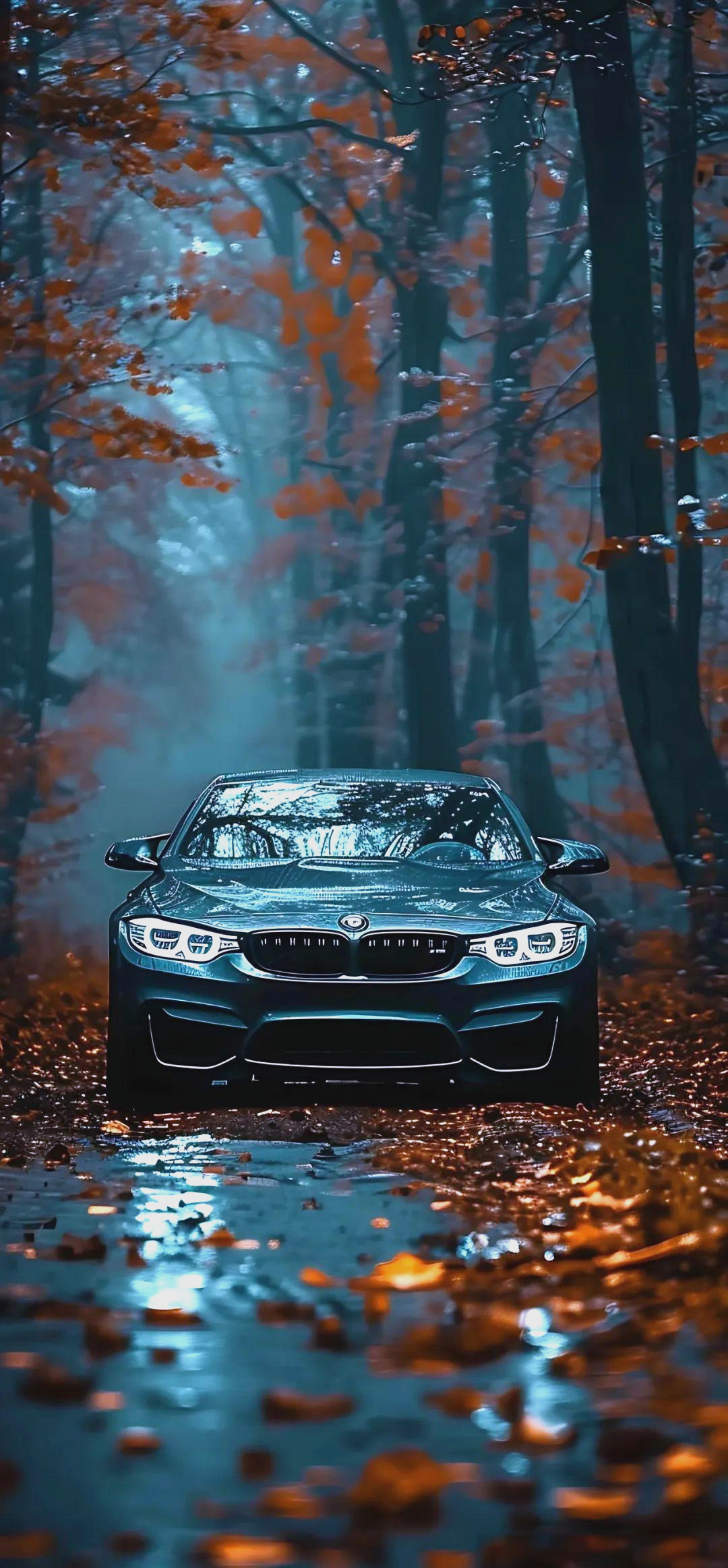 高清壁纸丨宝马汽车的多重魅力