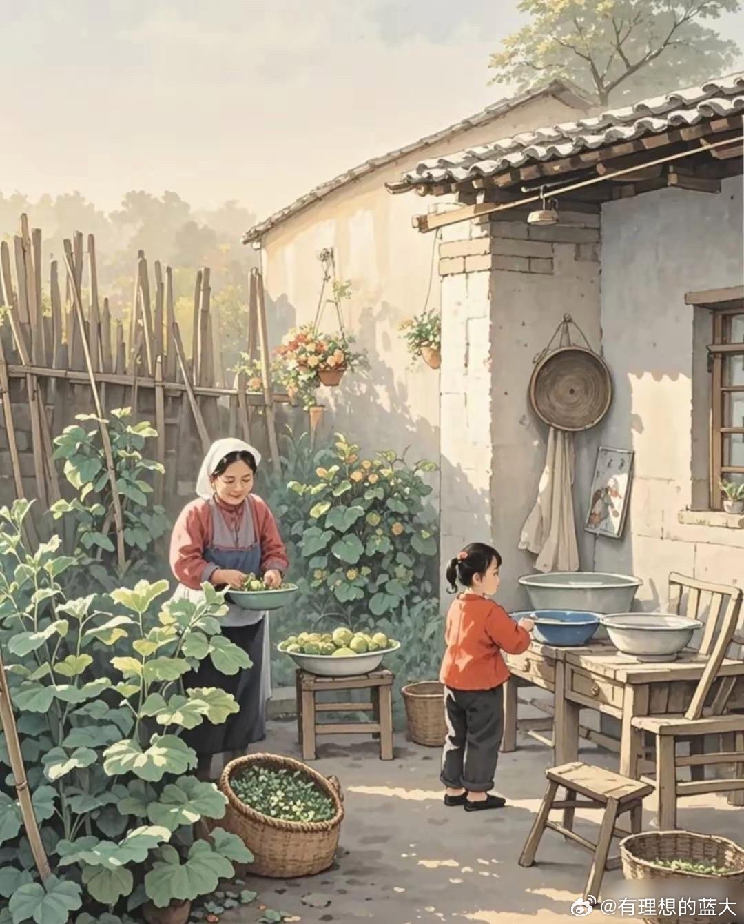小时候小院的早晨,满满的回忆