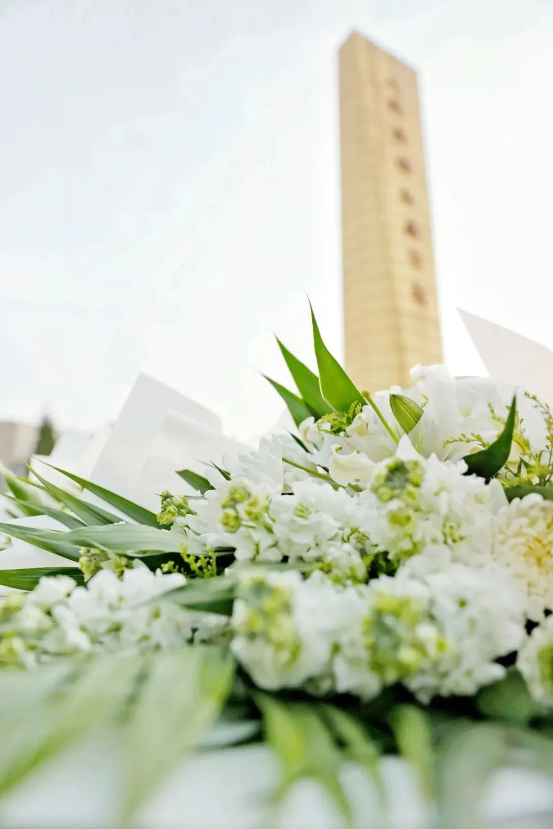 祭奠忠魂忆英烈,薪火传承英雄魂