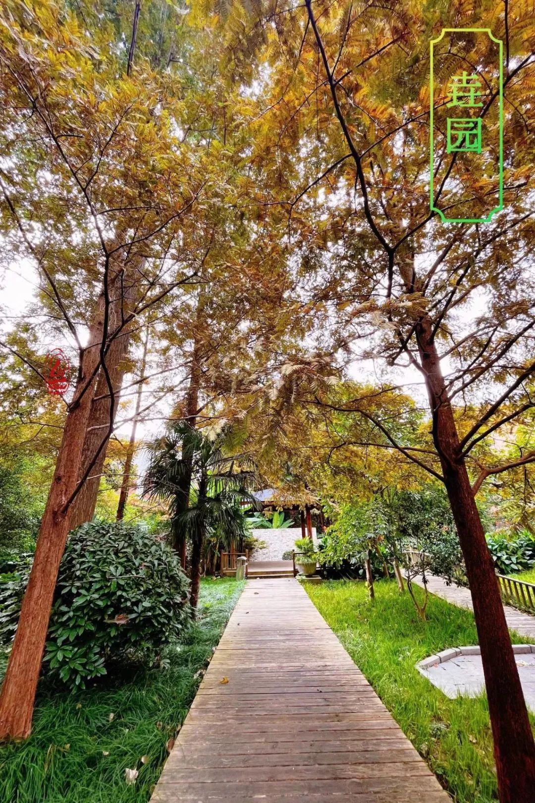 口袋公园扮靓宝山方寸之美,点缀秋日美好生活!