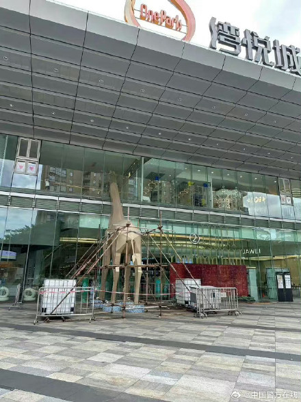 超强台风莫兰蒂来袭时的厦门