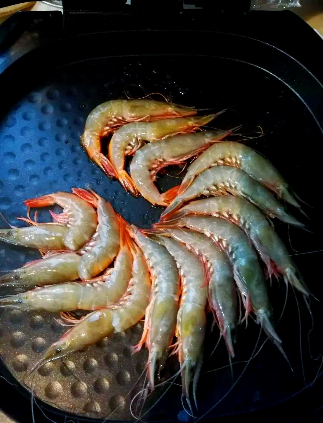 金钩虾实力出击,东海美味抢占c位