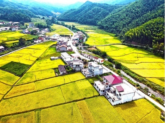 秋日田园美如画