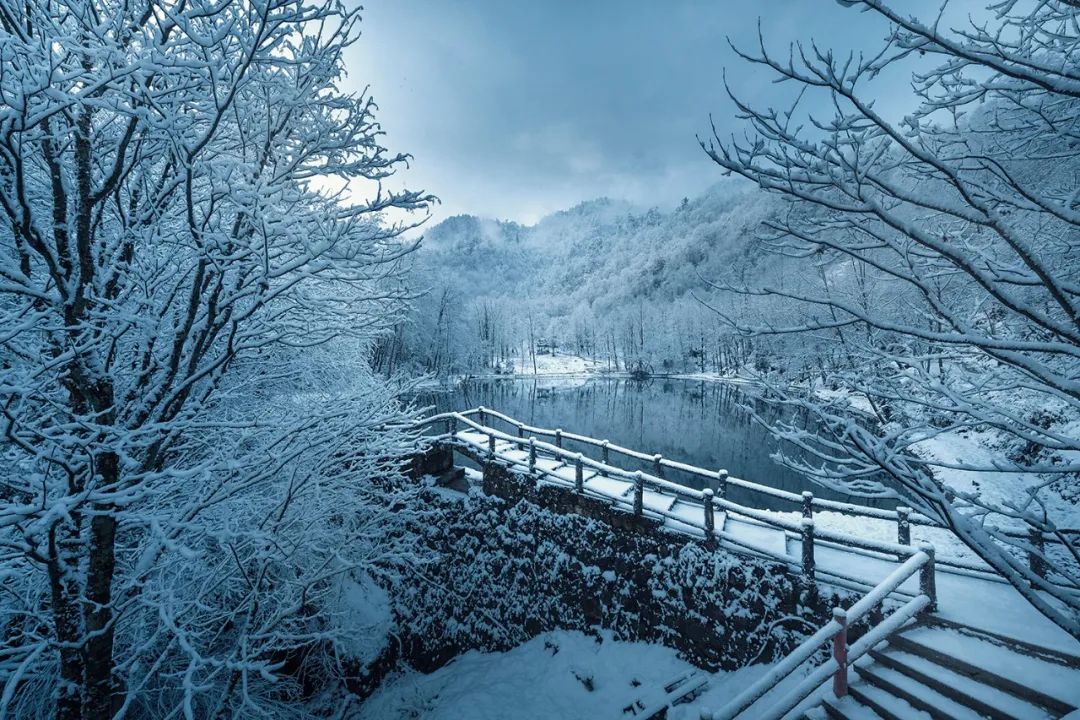我在家乡助力冬奥,天全喇叭河的雪下得很应景