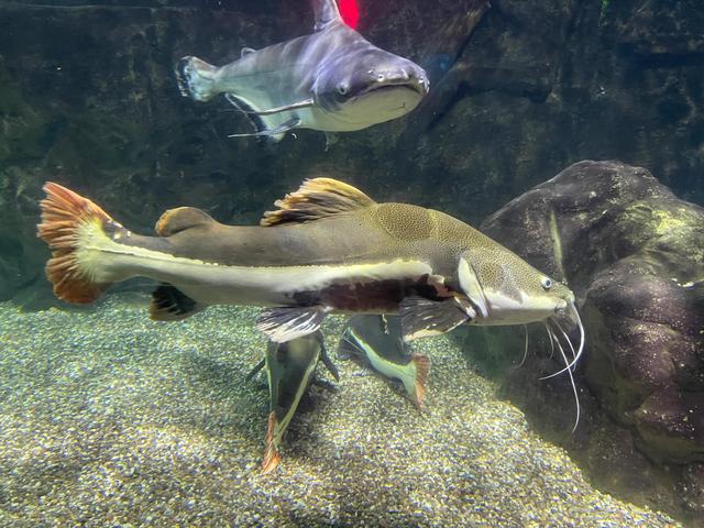 唐山周末游:太平洋海底世界博览馆