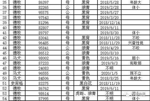 刑警學院競售54只淘汰受訓犬,看完淘汰理由,網友被萌翻了