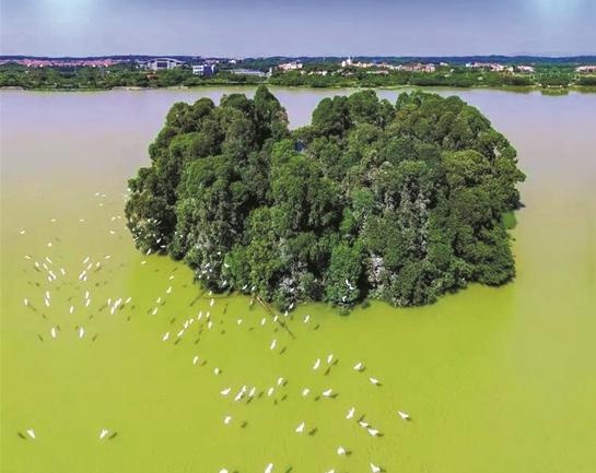 三水湿地公园图片