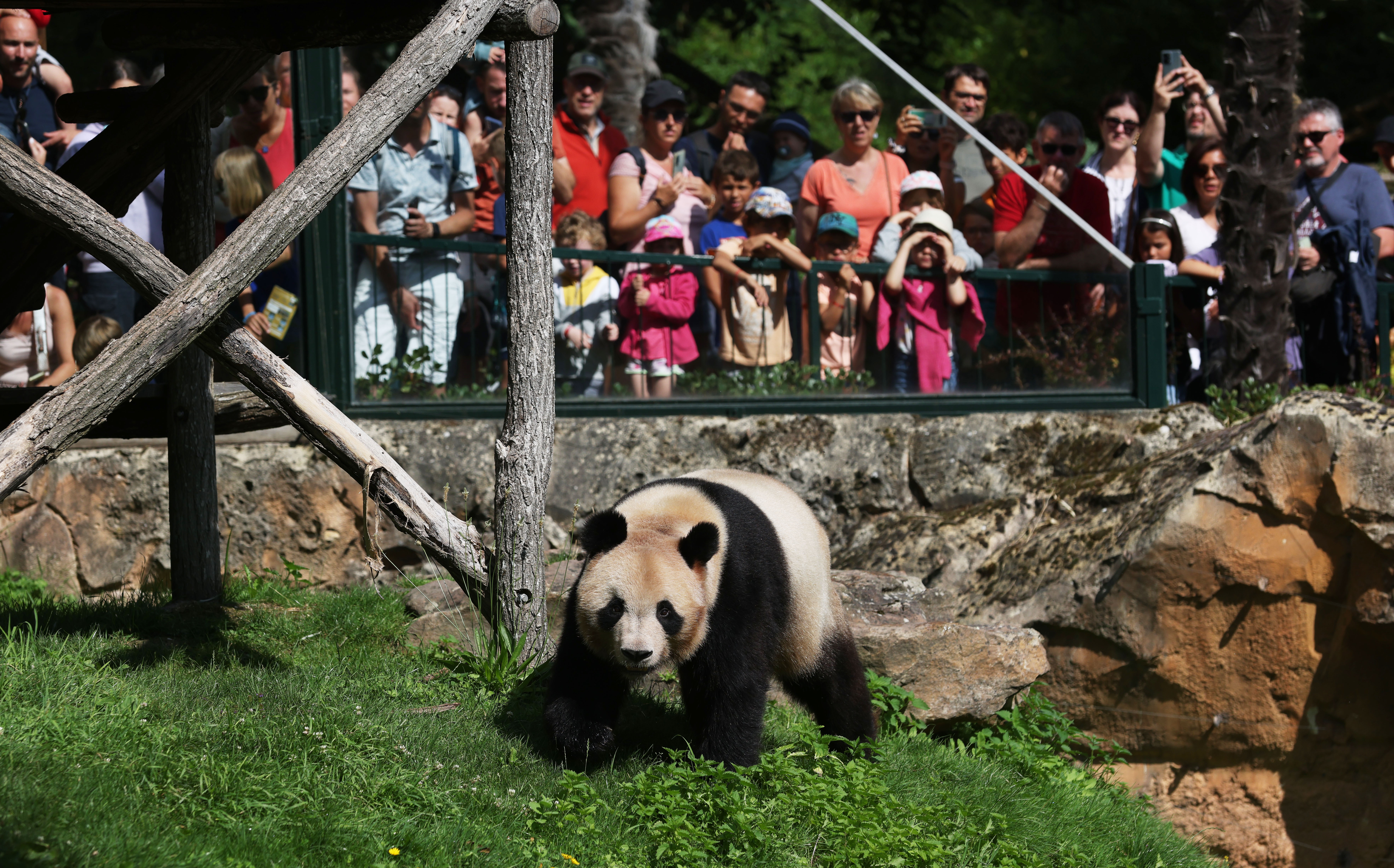 (国际)大熊猫圆梦将于7月25日返回中国