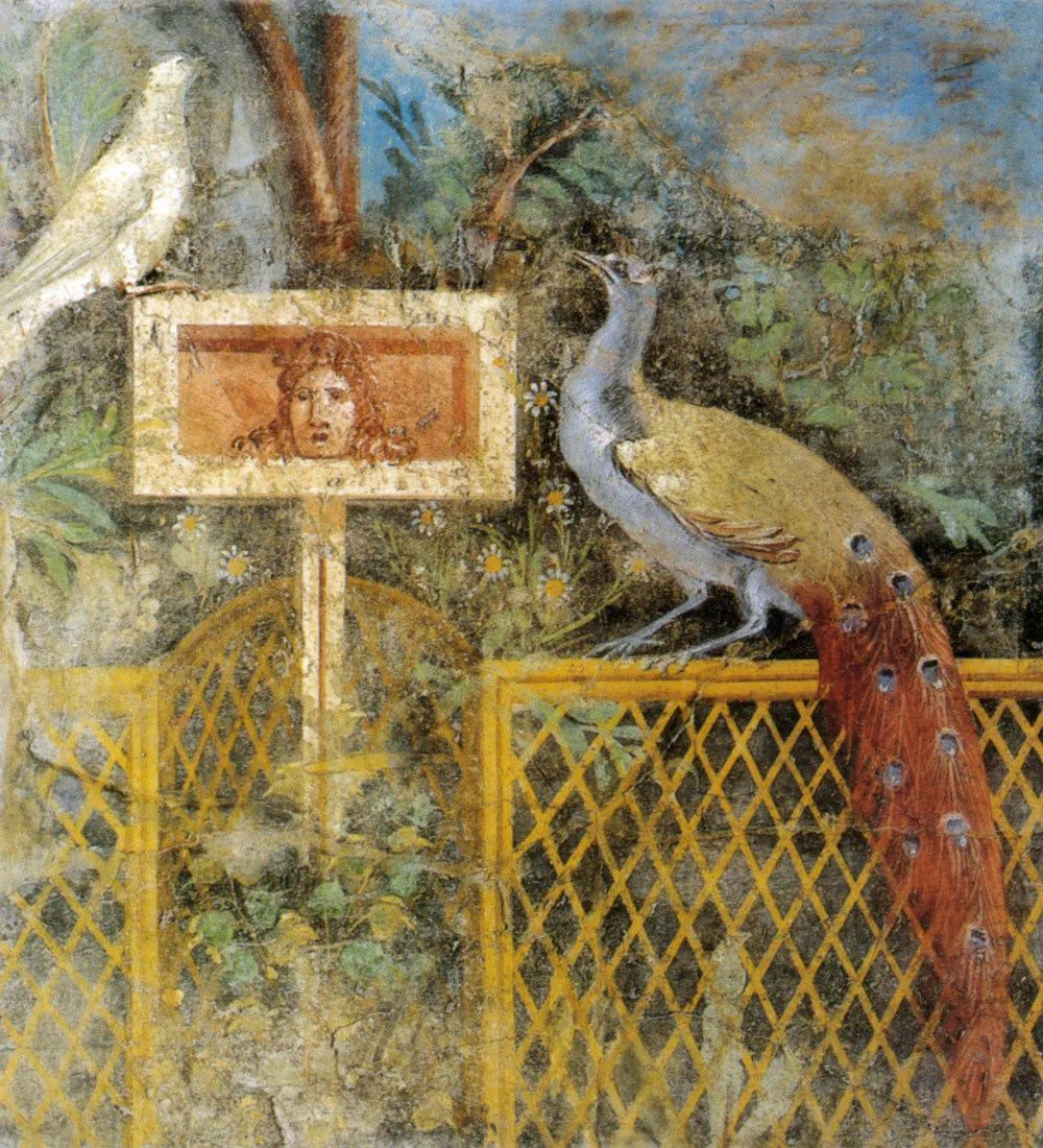 千年前,庞贝遇难者的故事