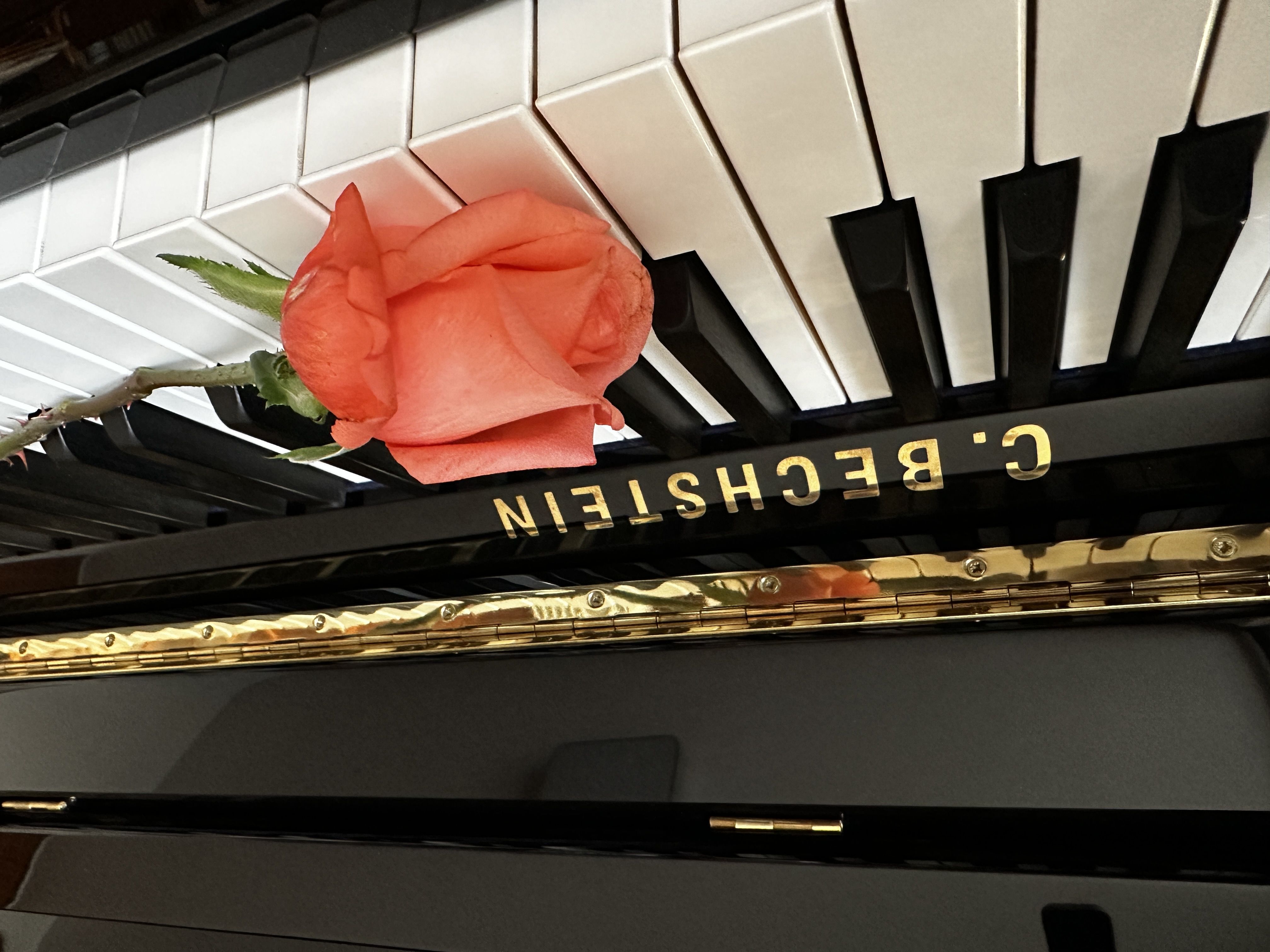 经典电影主题曲回眸:《the ludlows》(美国电影《燃情岁月》主题曲)