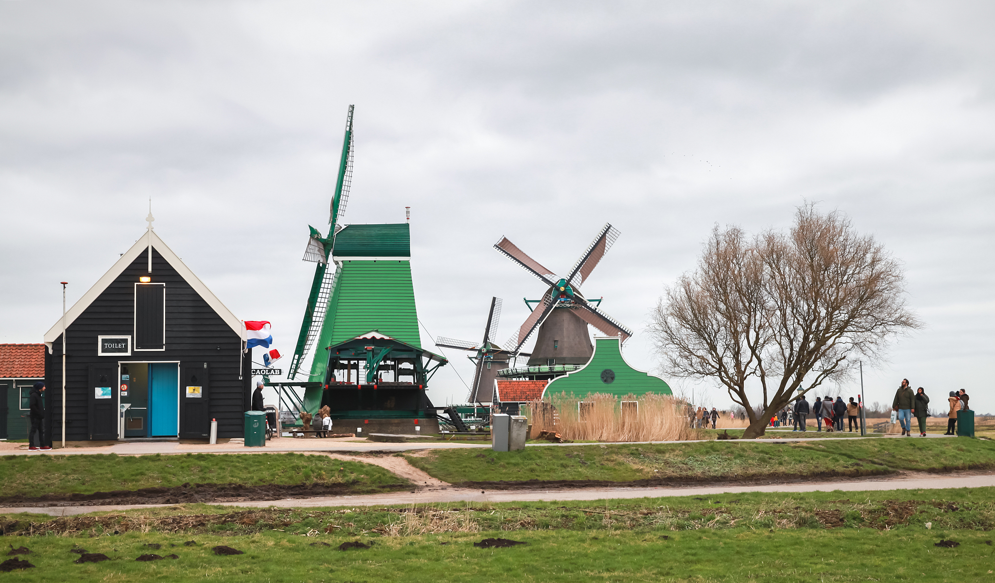 风车之国是哪个国家?风车之国指的是哪里