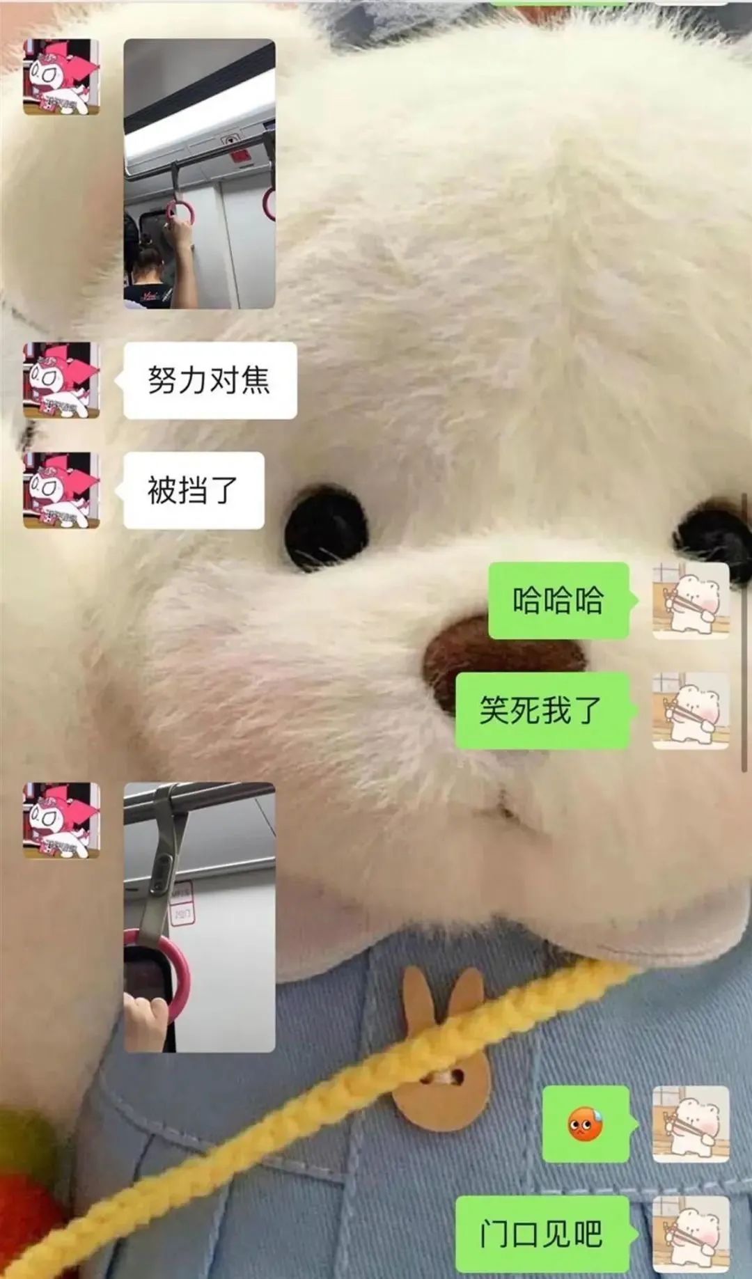 大妈怀疑女乘客偷拍自己儿子用水杯砸破对方的头?警方回应
