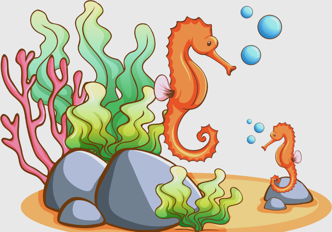 山东省海马产业现状及未来展望