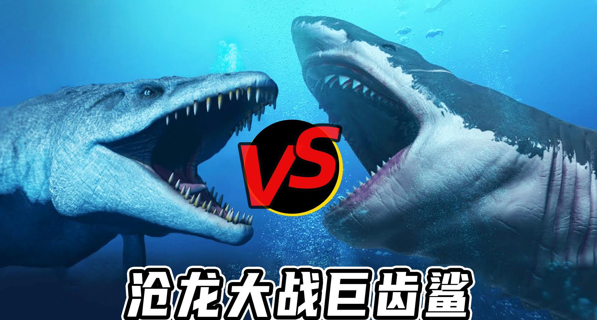 沧龙vs巨齿鲨,从5个维度分析,谁才是真正的海洋霸主?
