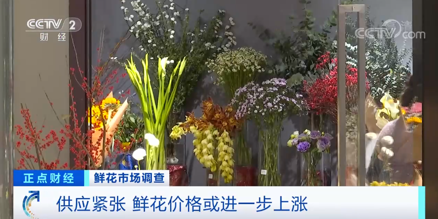 附近花苗批发