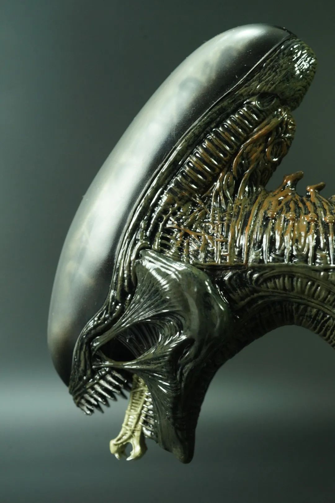 首发呼?rebor异形暴龙 第二弹 开箱分享