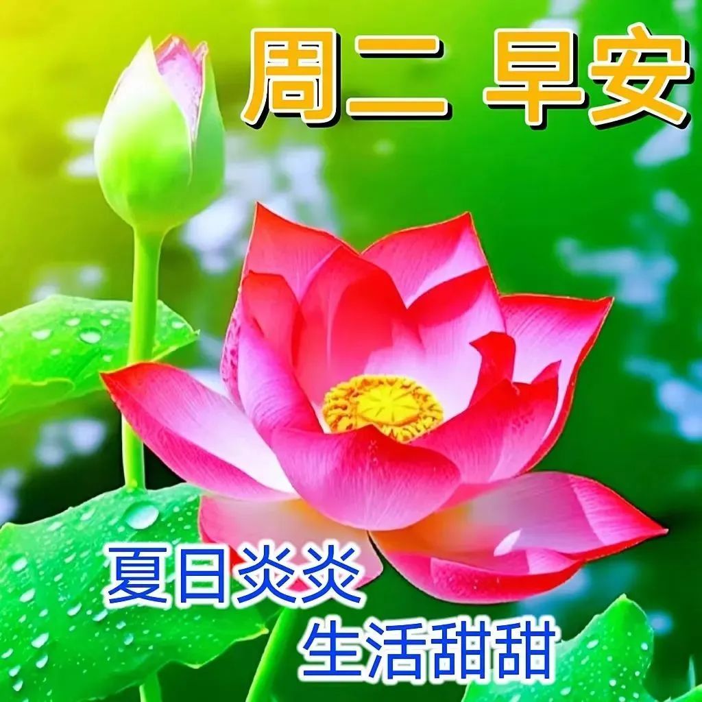 7月18日周二早上好祝福语图片带字