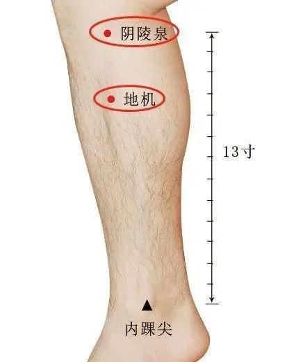 阴陵泉疼痛怎么回事图片