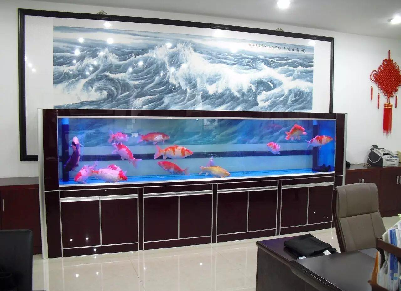 如何选择适合的锦鲤鱼缸及其定制建议