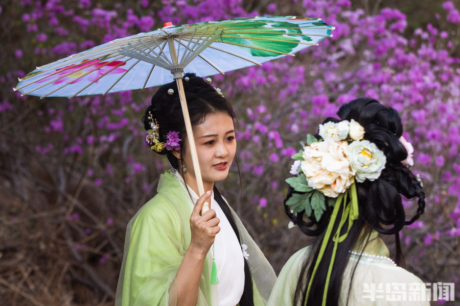 紅動山川,美輪美奐……大珠山萬畝杜鵑花綻放