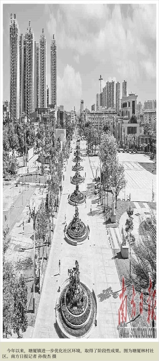 塘厦 精细化管理 推动人居环境提升