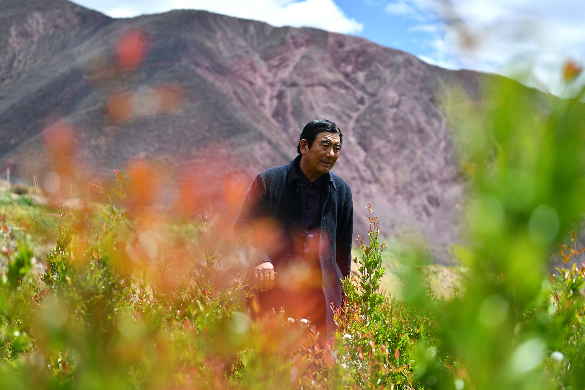 (西藏昌都解放70周年·图文互动)(1)"我有一个植树梦"——扎西旺堆和