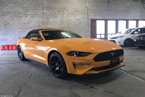 为什么开野马的都卖了