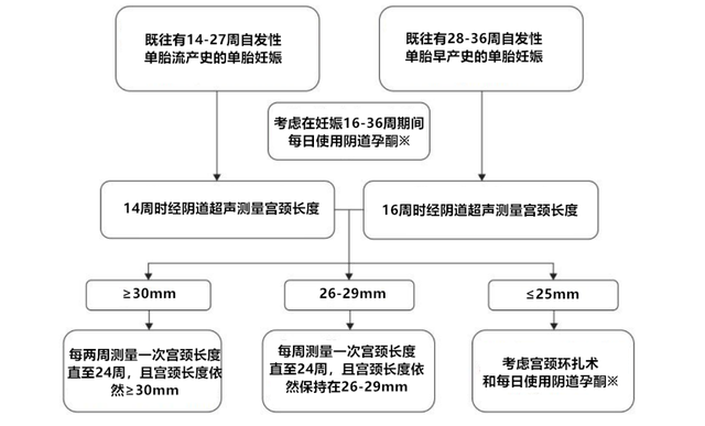 宫颈长度怎么检查图片