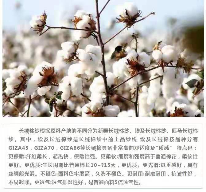 惠远720棉花品种简介?图片