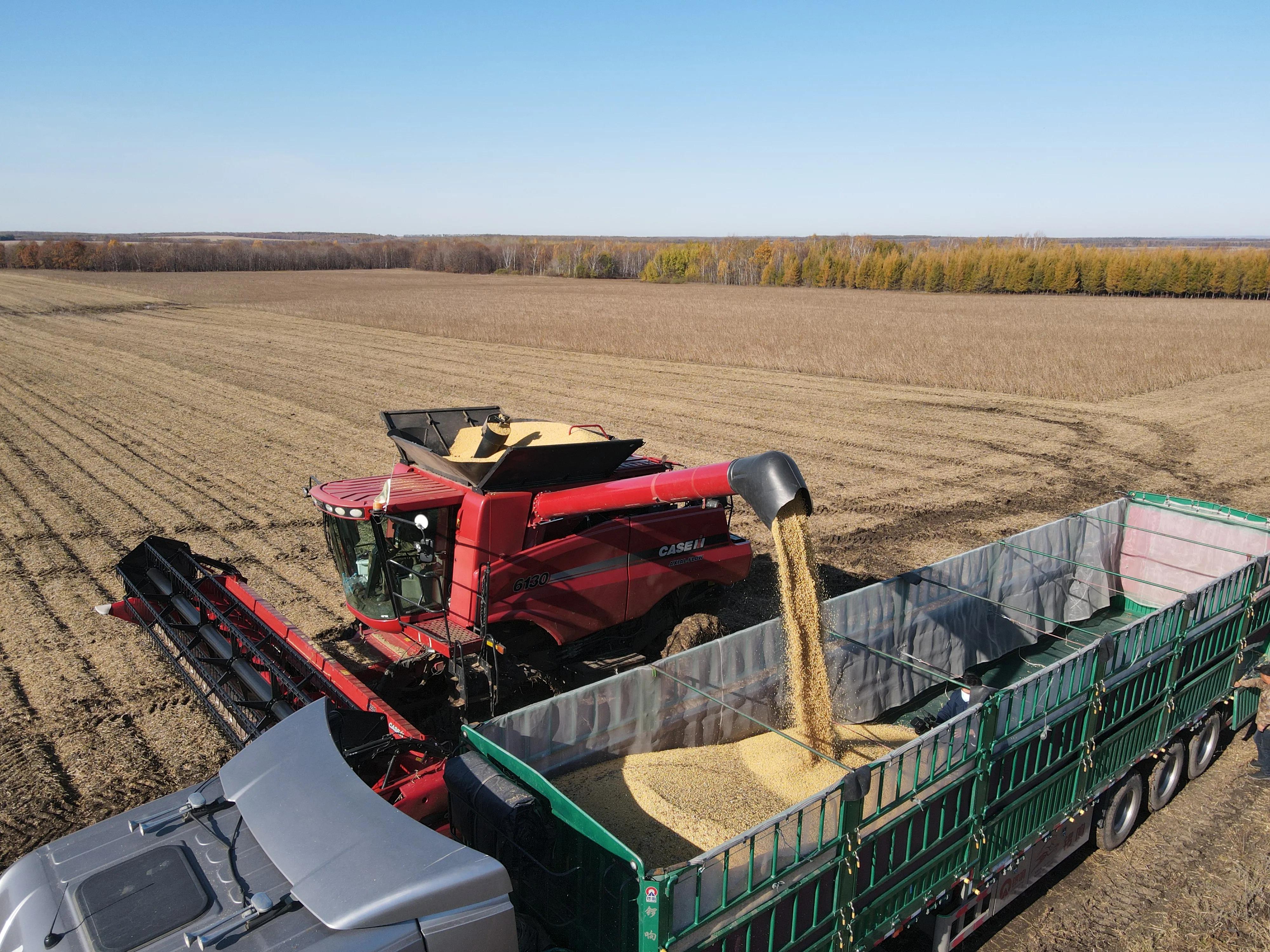 长水河农场:乘改革浪潮御风而行