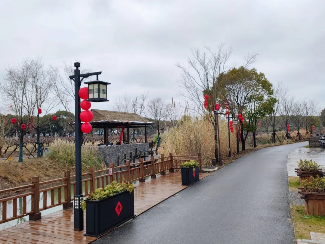 春节"氛围组"已就位,快来庄行郊野公园寻找满满的年味→丨有一种过年