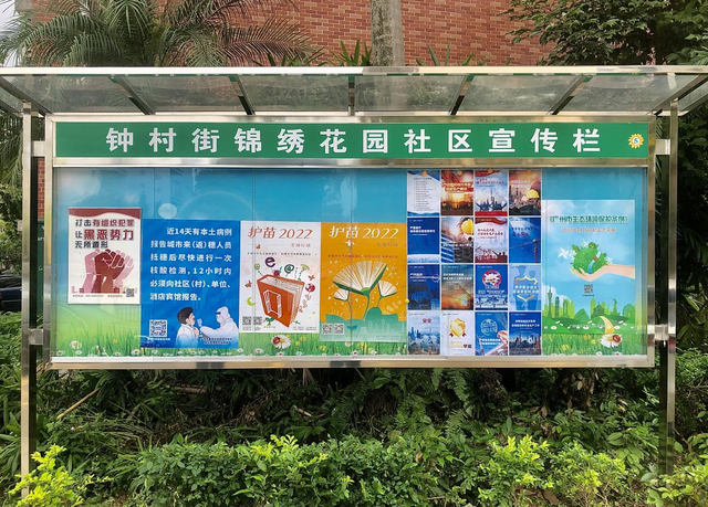 守护绿水青山,看钟村街这样擦亮生态底色