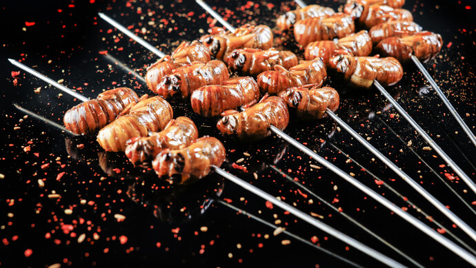 烧烤界"新晋网红"金蝉吃过吗?徐州这个"金蝉小镇",有人年赚百万