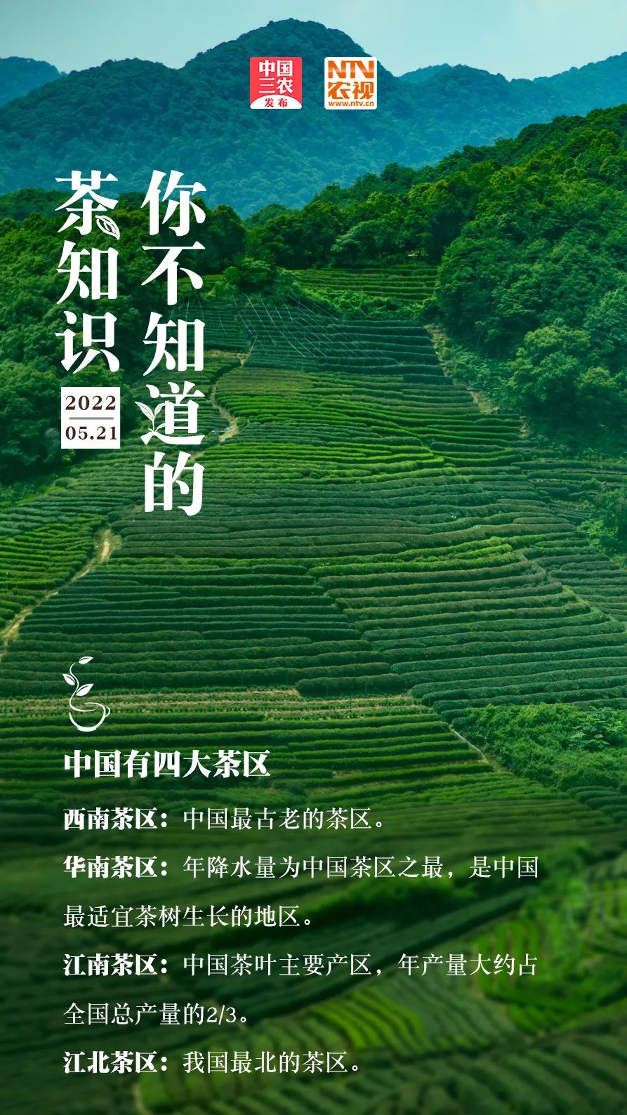 喜欢喝茶的你,真的了解茶吗?|国际茶日
