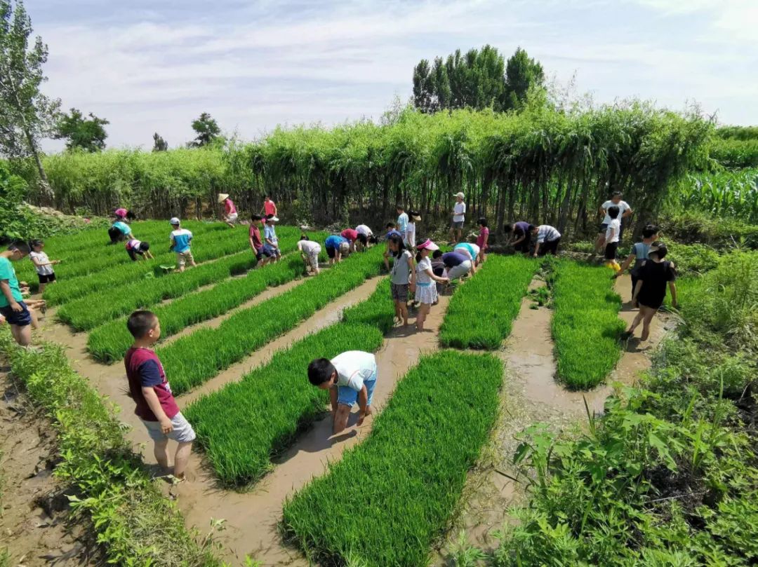 播种希望带领孩子走进农耕基地活动!