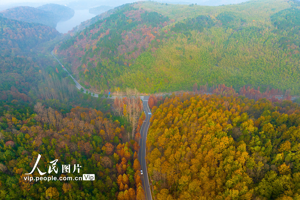 江苏南京 无想山风景区冬景如画