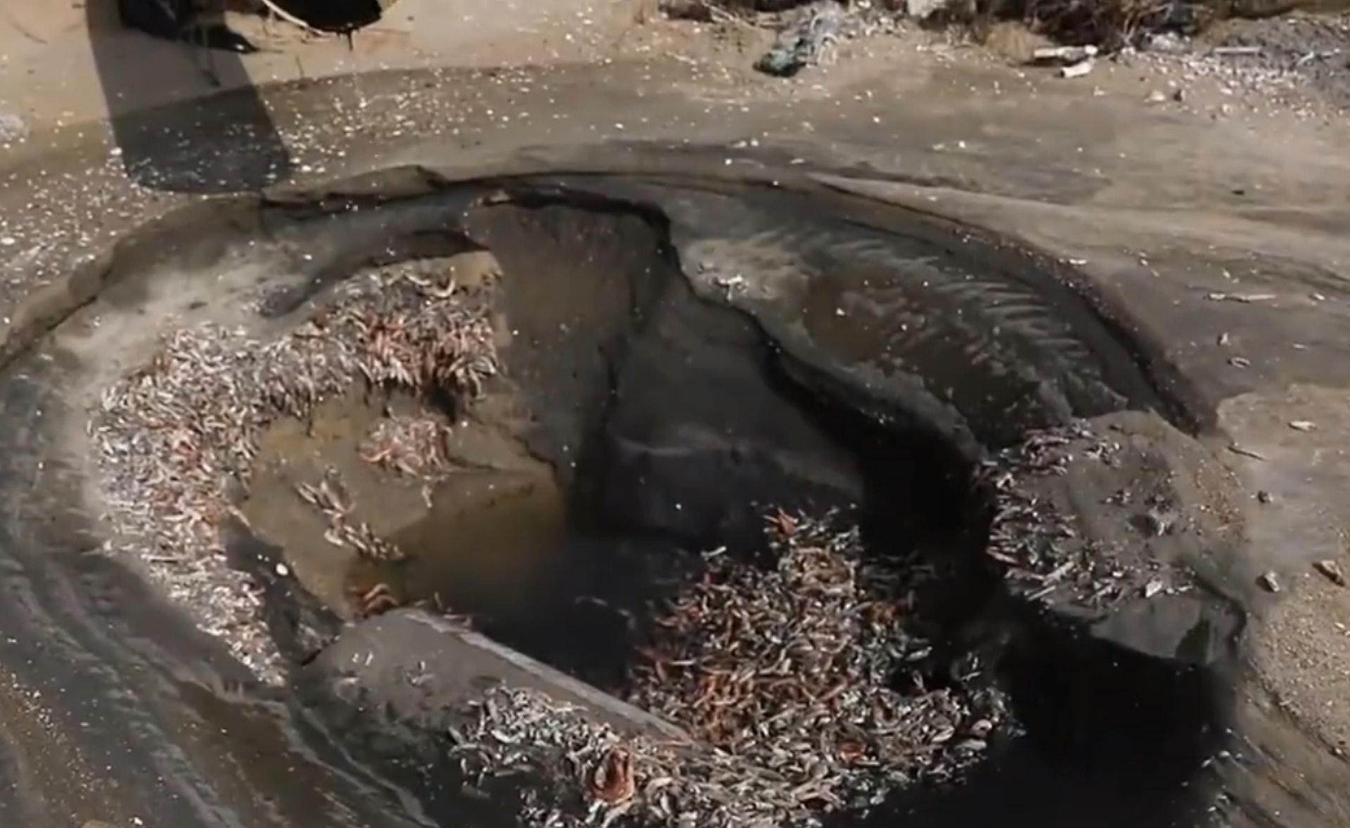 巨大排污水流出的污水,更已经将海滩冲刷出长长的黑色沟壑