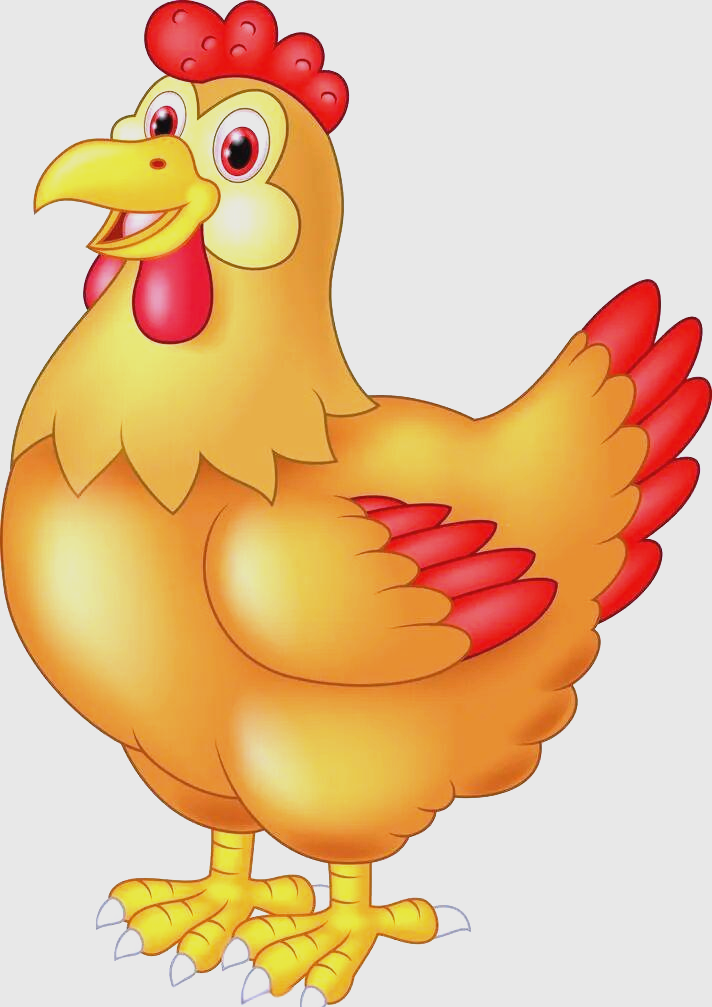 猴生肖和鸡生肖的运势(猴生肖和鸡生肖的运势如何)