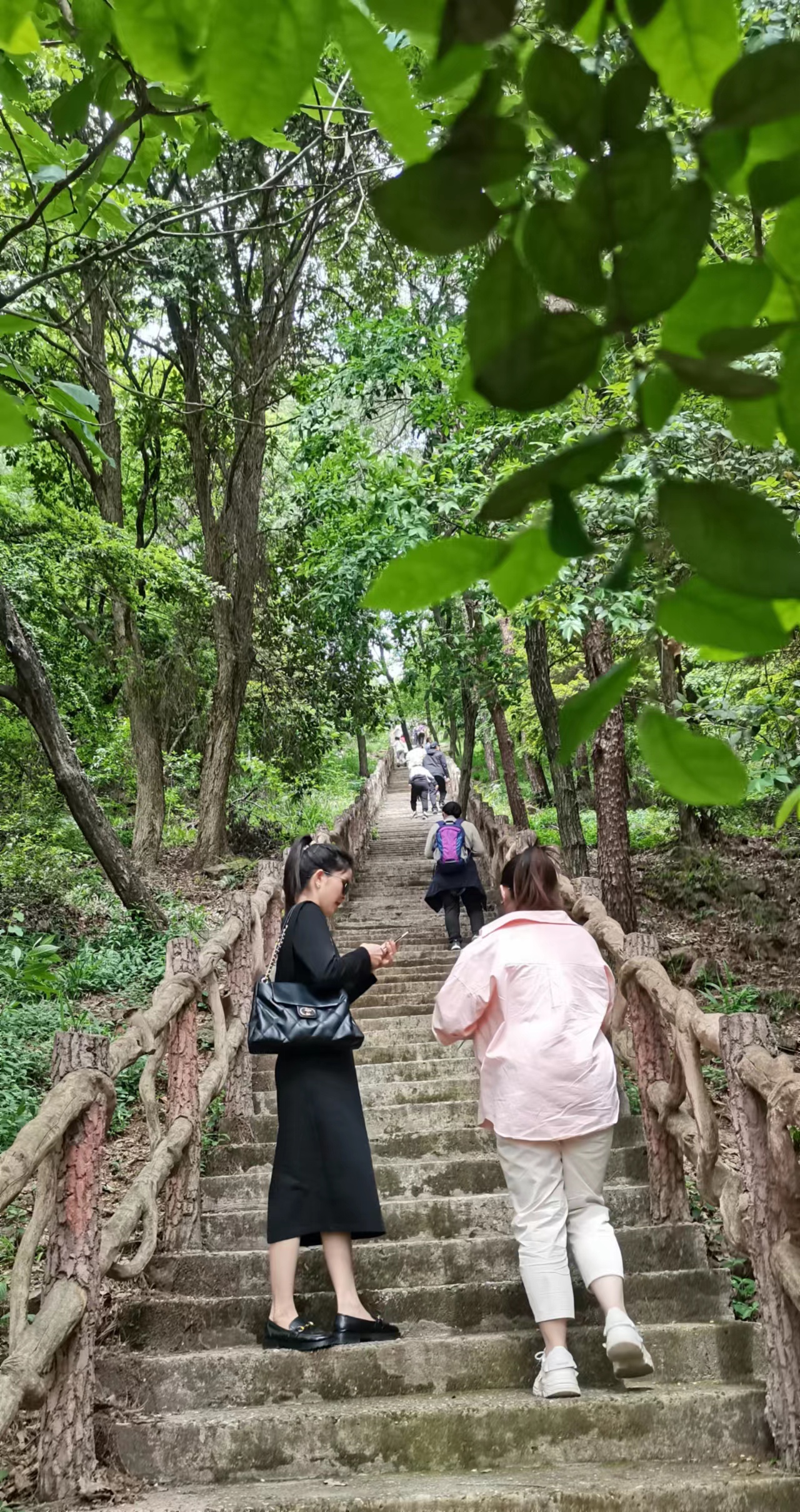 江夏爬山图片