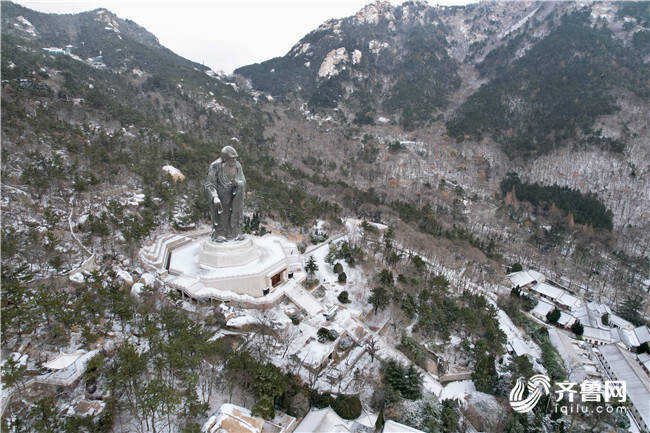 崂山耐冬降雪图片图片