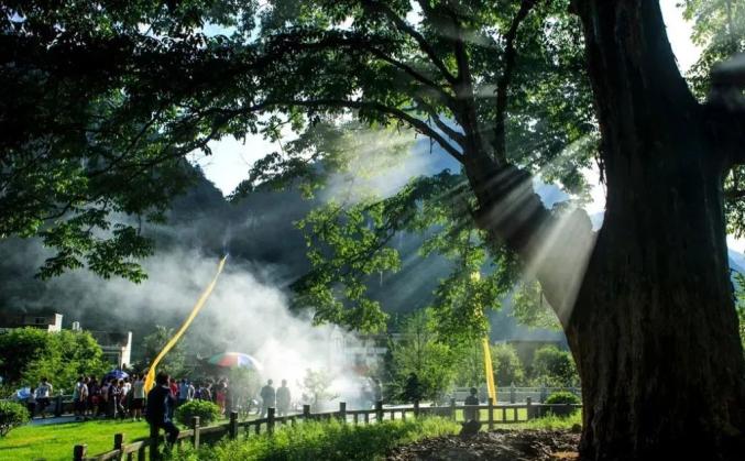 乡游黔中 · 印江县 紫薇镇 | 千年古树矗立于此,迎接你探秘