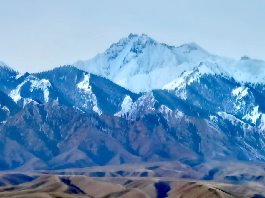 阿拉山,这边风景独好(散文)
