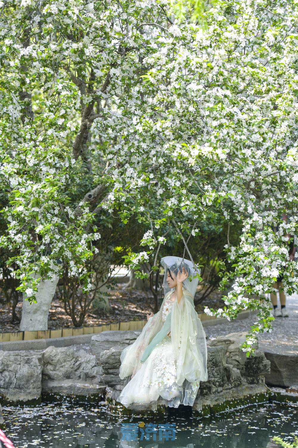 "泉"在济南过五一|戴上簪花,穿上汉服,去花丛来一场美丽穿越吧