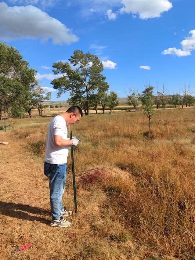 帮帮公益邀您一起加入,3060碳中和森林认养计划!