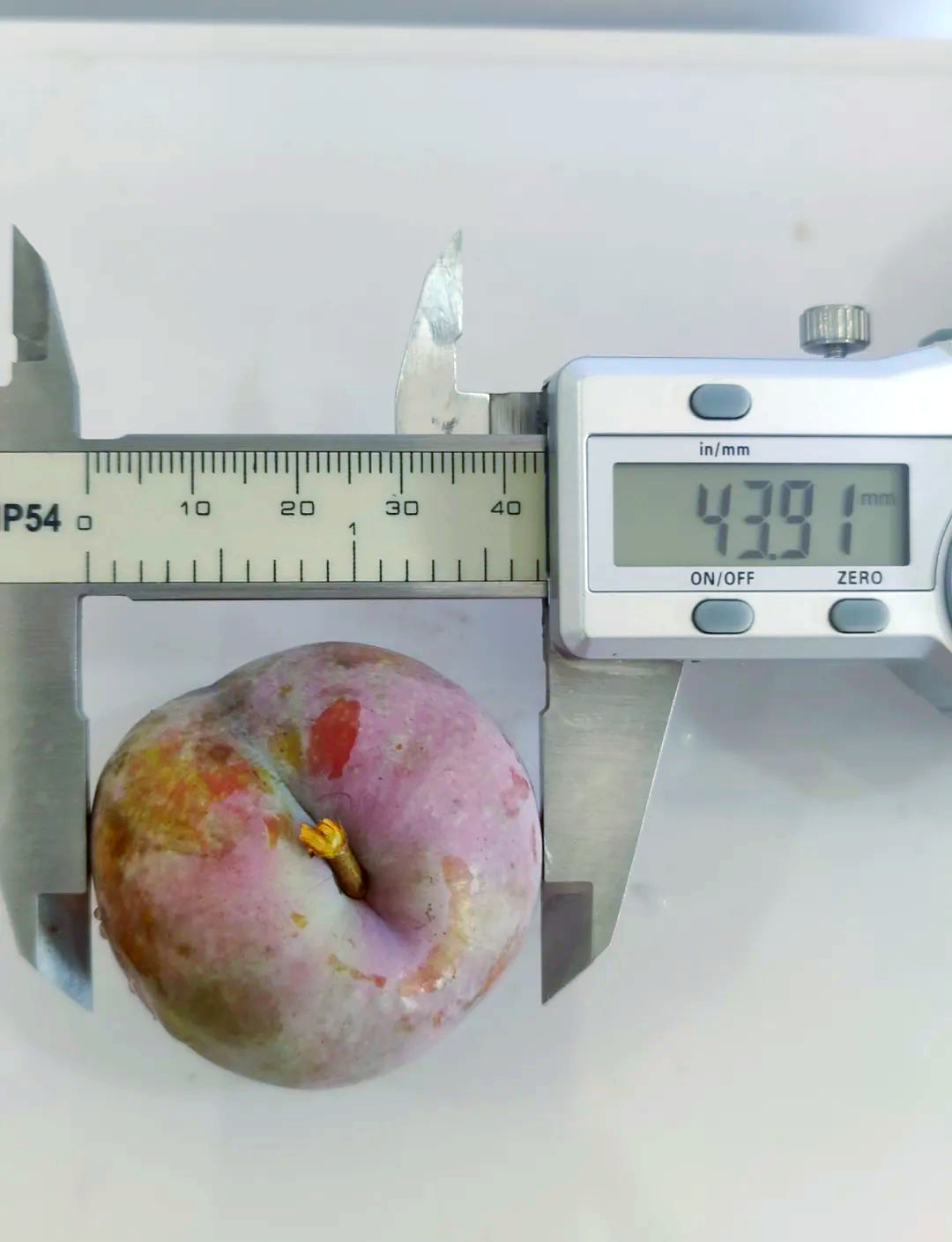 但需特别留意,任何经过检测发现农残超标的芙蓉李果品